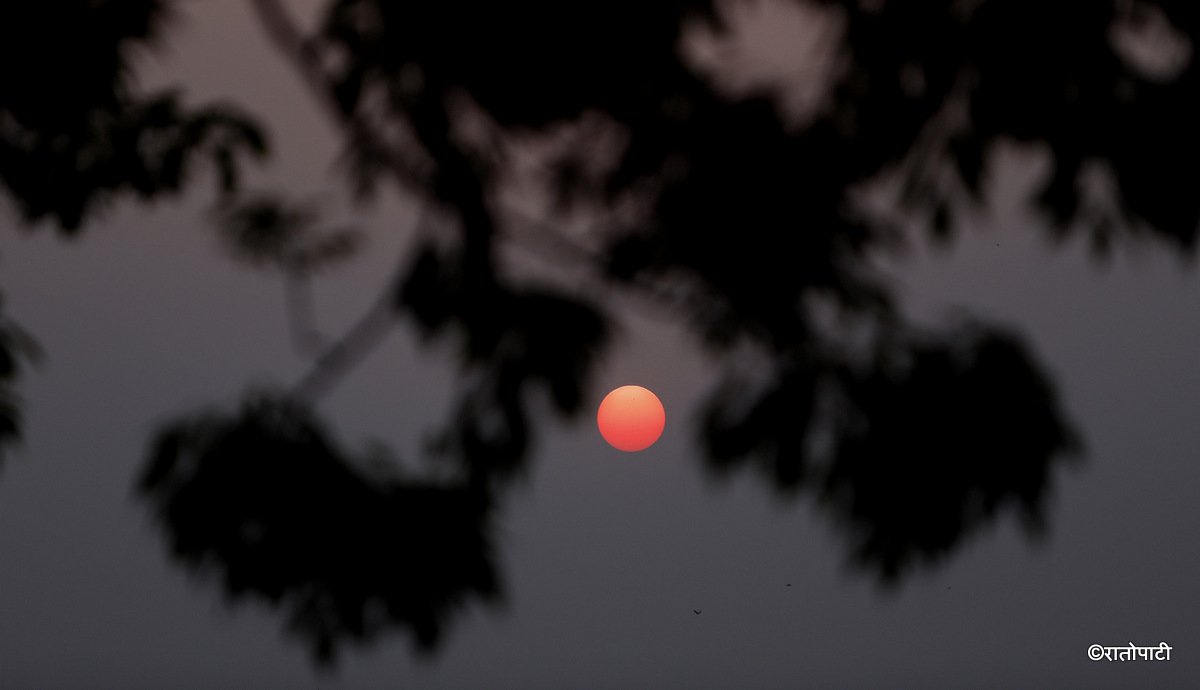 sunrise (7)
