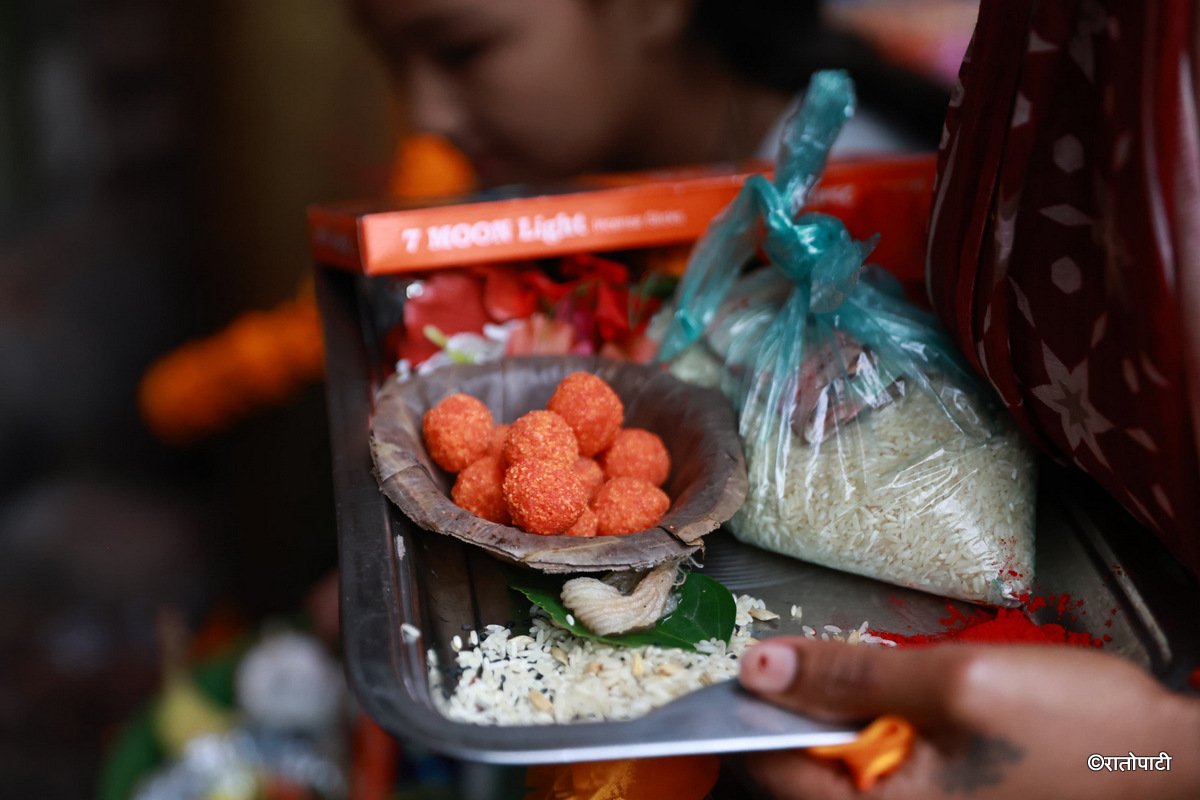 surya binake (12)