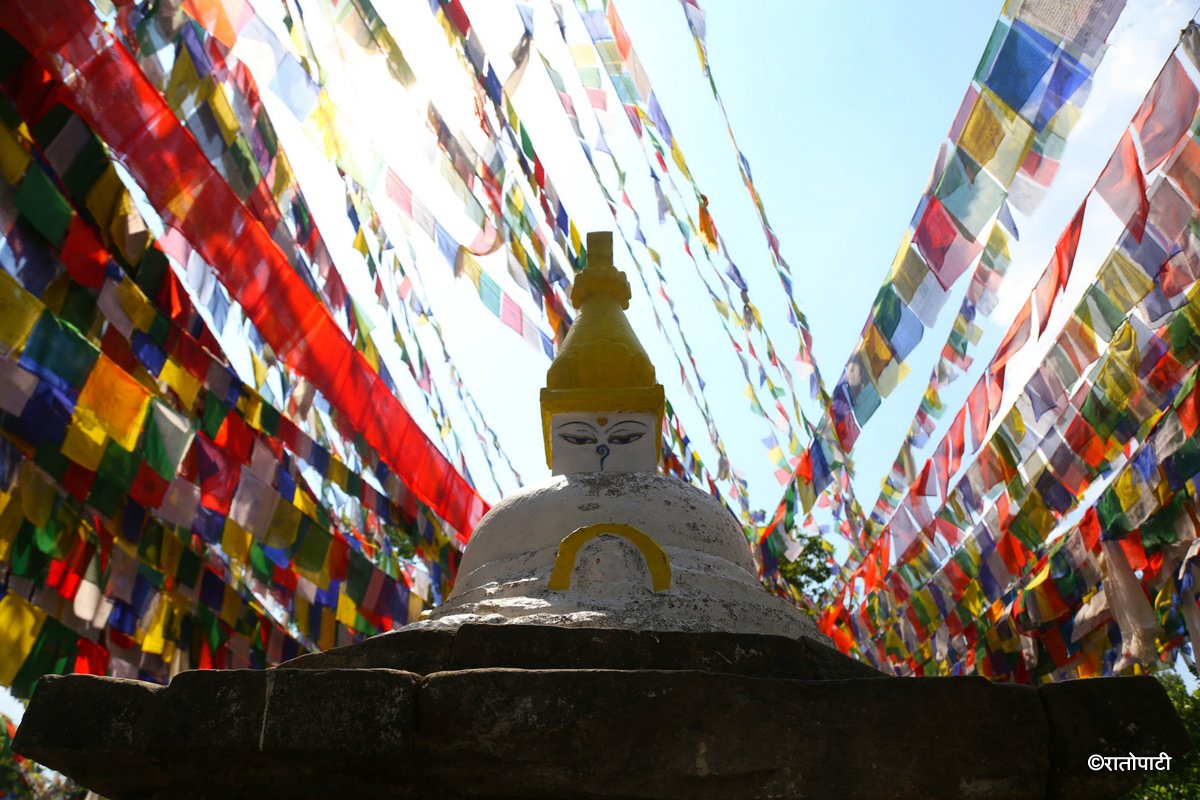 swayambhu buddha jayanti  (4)
