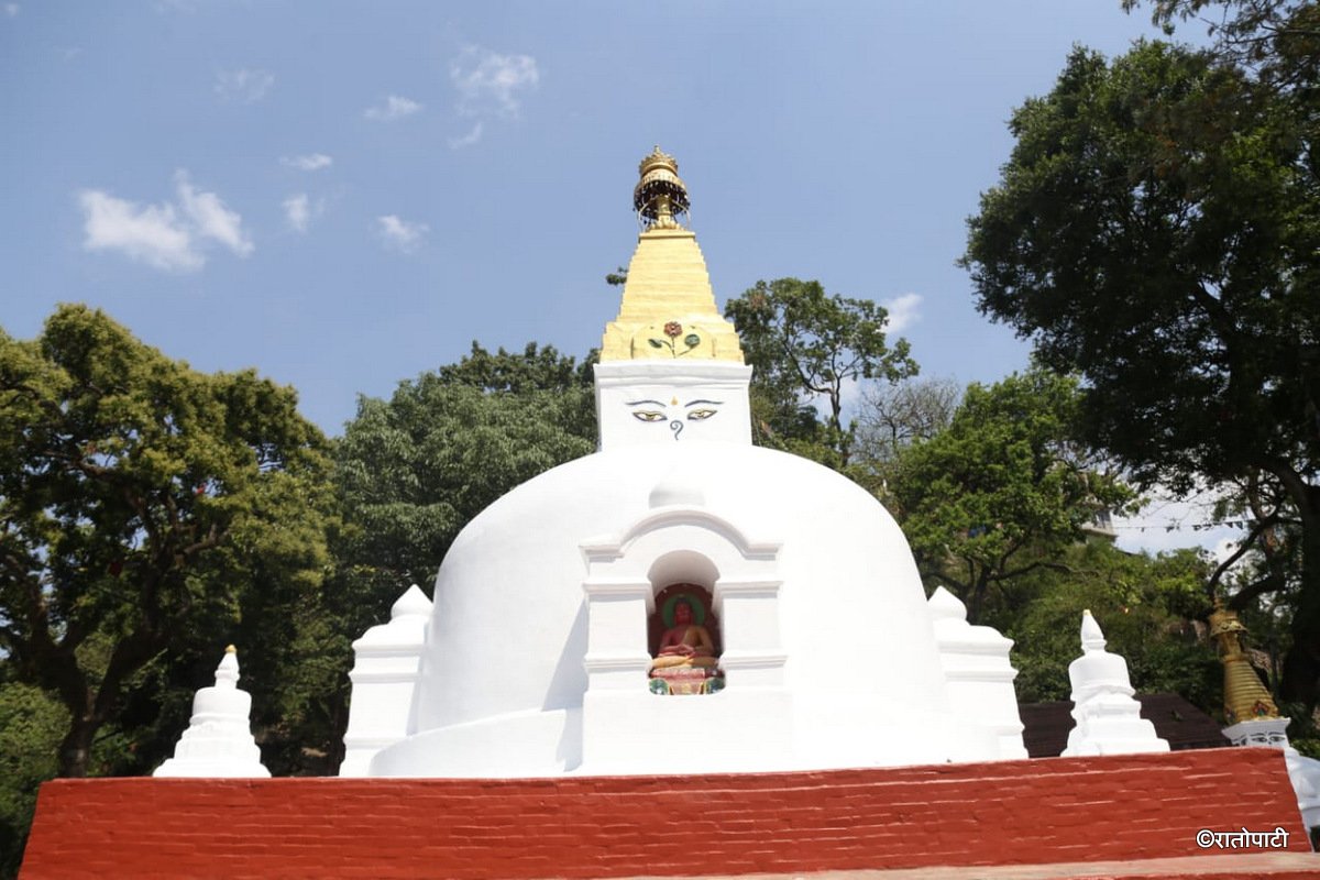 swayambhu buddha jayanti  (5)