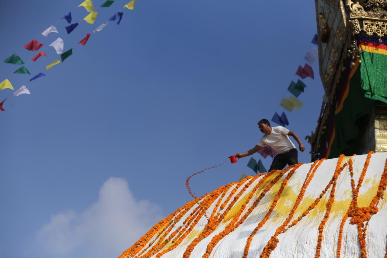 Swayambhu flower_Nepal Photo Library (1)
