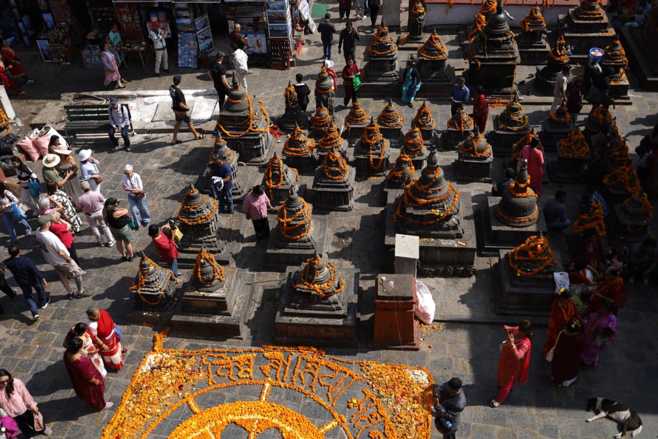 Swayambhu flower_Nepal Photo Library (10)