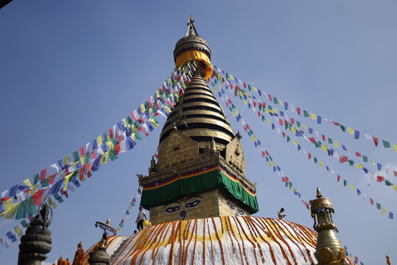 Swayambhu flower_Nepal Photo Library (11)