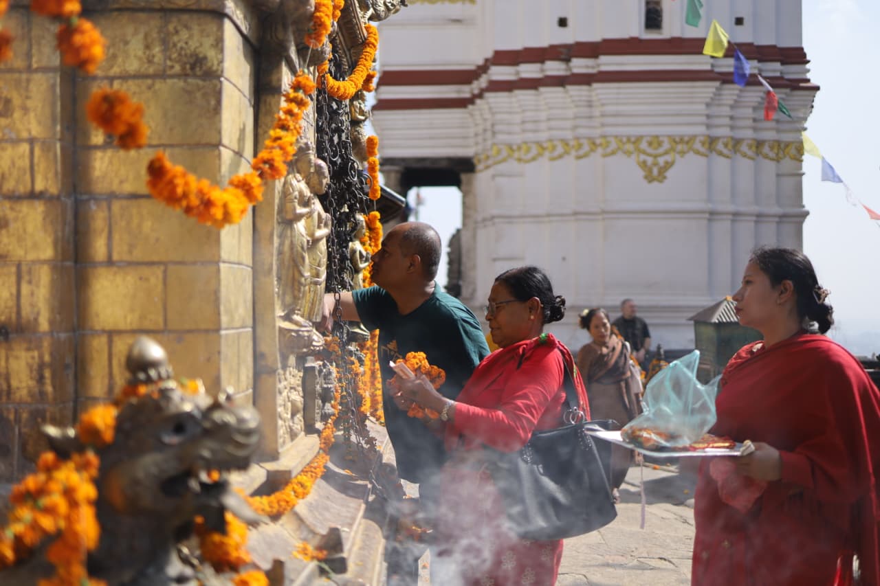 Swayambhu flower_Nepal Photo Library (13)