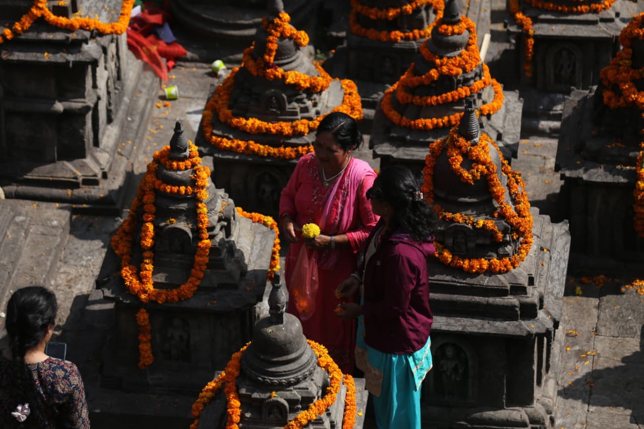 Swayambhu flower_Nepal Photo Library (3)