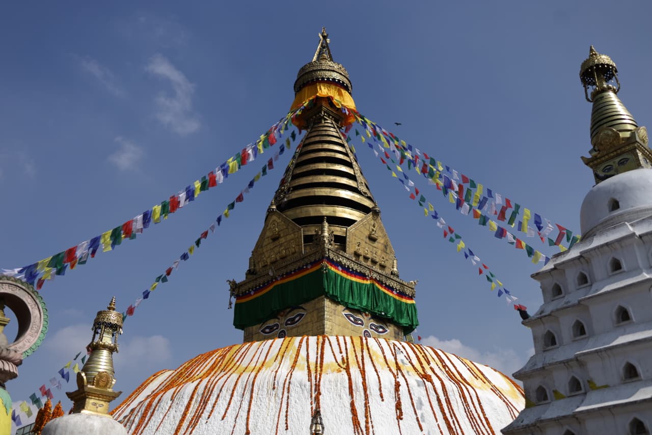 Swayambhu flower_Nepal Photo Library (4)