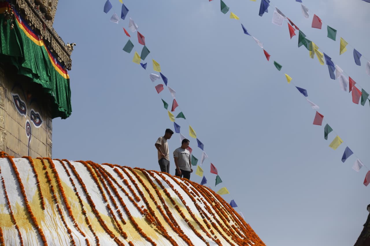 Swayambhu flower_Nepal Photo Library (5)