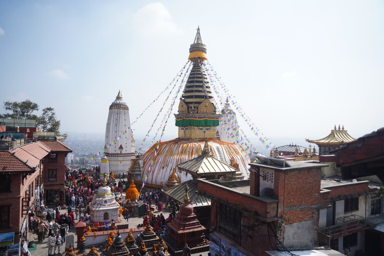 Swayambhu flower_Nepal Photo Library (6)