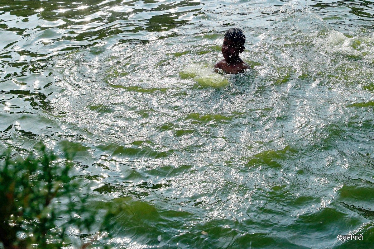 swimming (1)