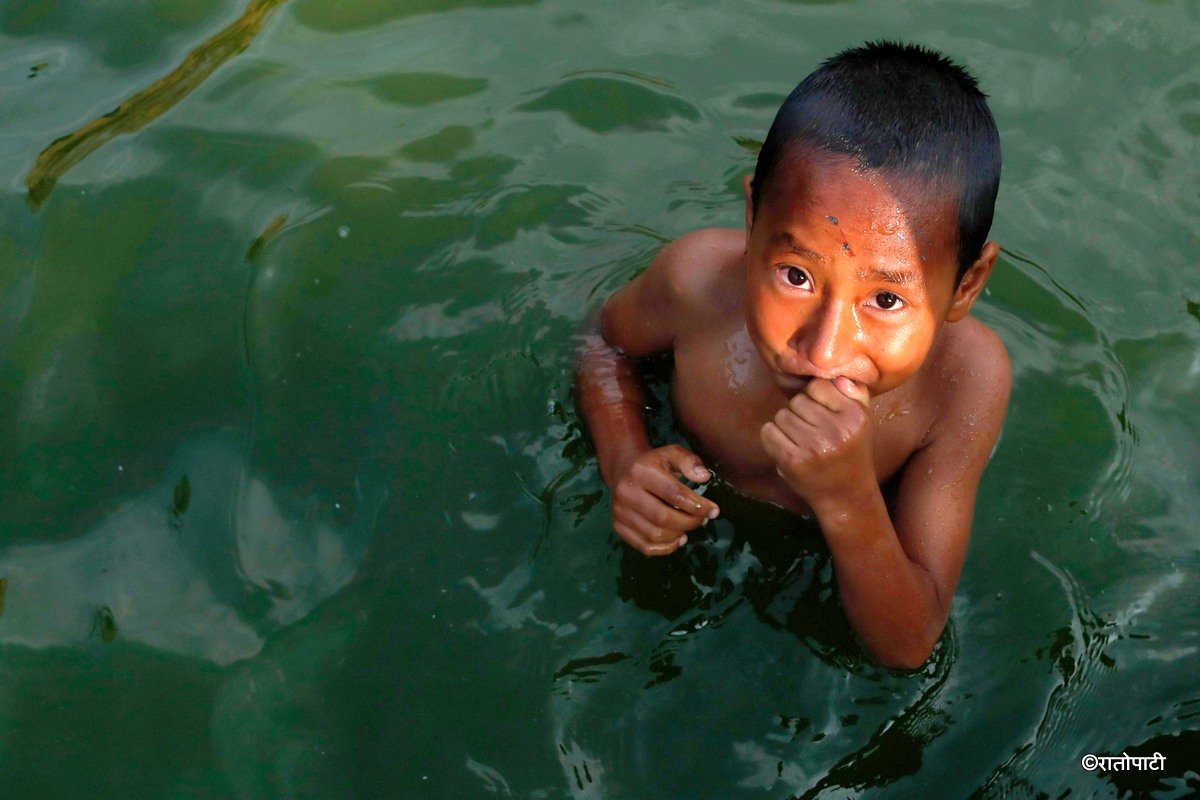 swimming (4)