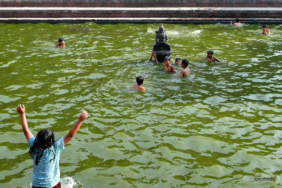 swimming (6)