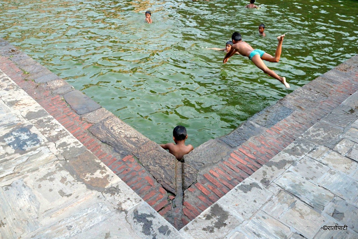 swimming (7)