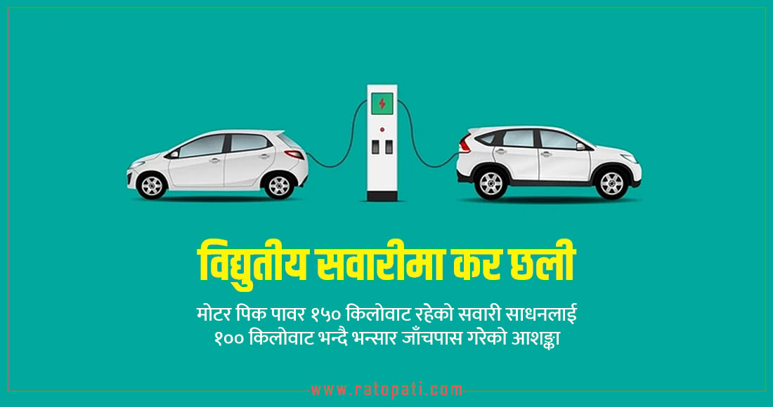 The government concluded that electric vehicle importers evaded taxes.