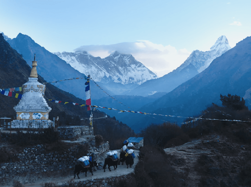 taragau-pradrasani (3)