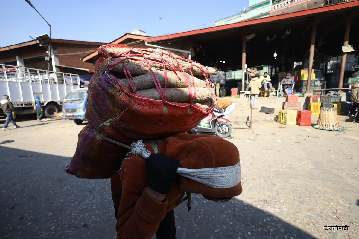 tarul (3)