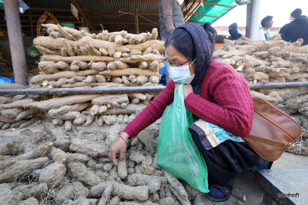   माघे संक्रान्ति नजिकिएसँगै तरुलको बिक्री बढ्दै