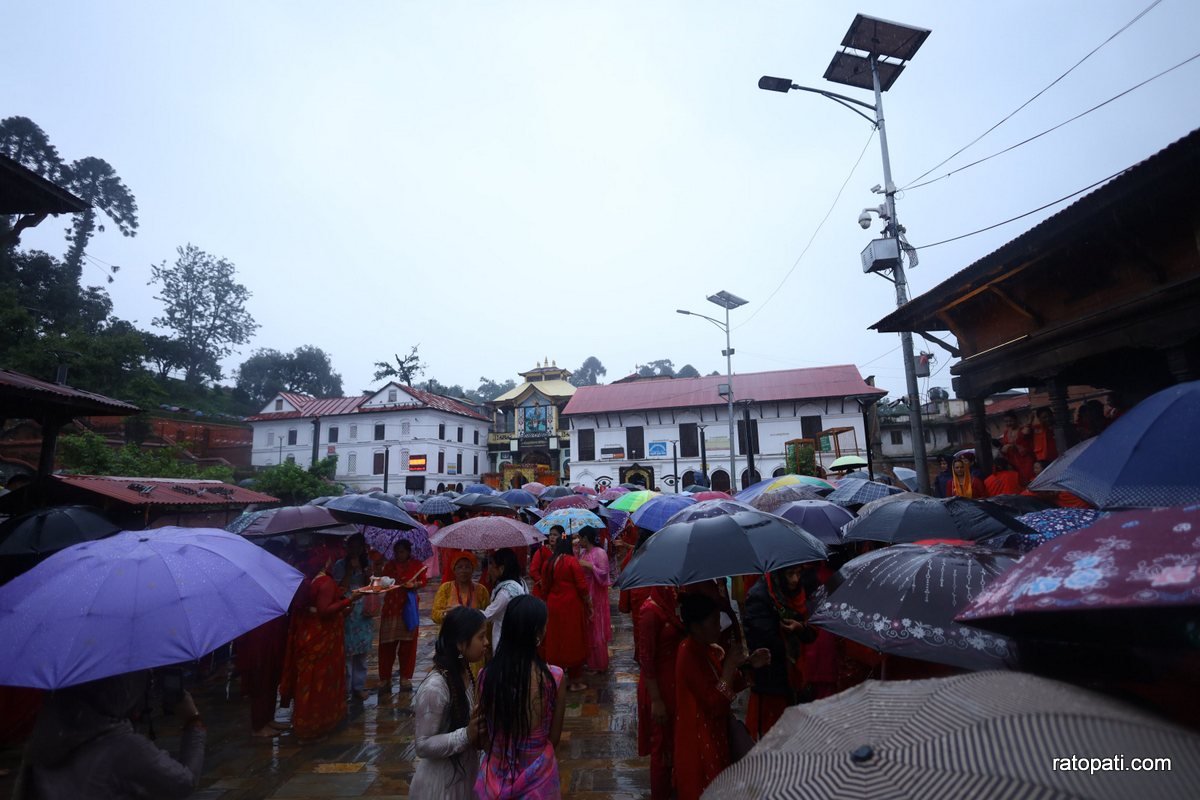 teej pashupati (12)