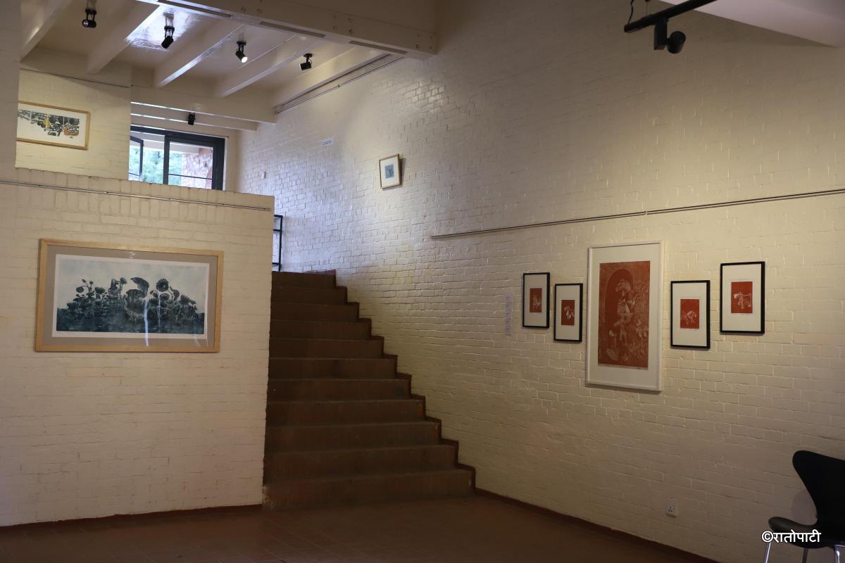 Tharu art exhibition (12)
