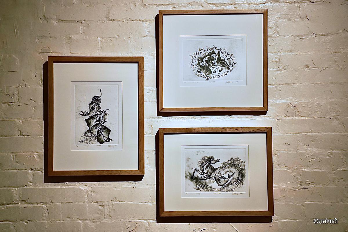 Tharu art exhibition (15)
