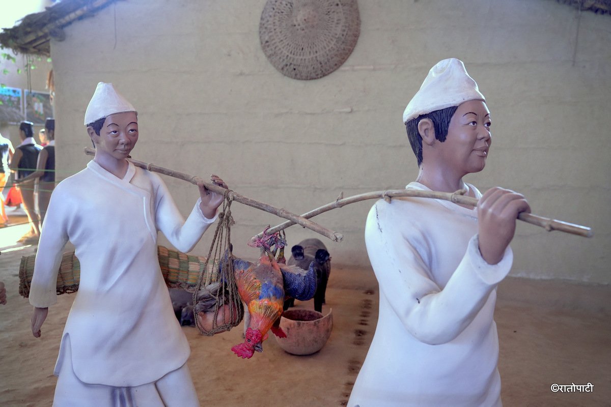 tharu museum dang (6)