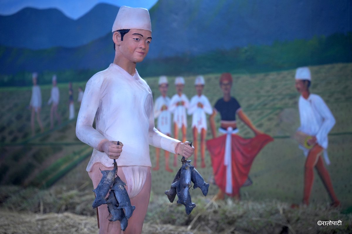 tharu museum dang (8)