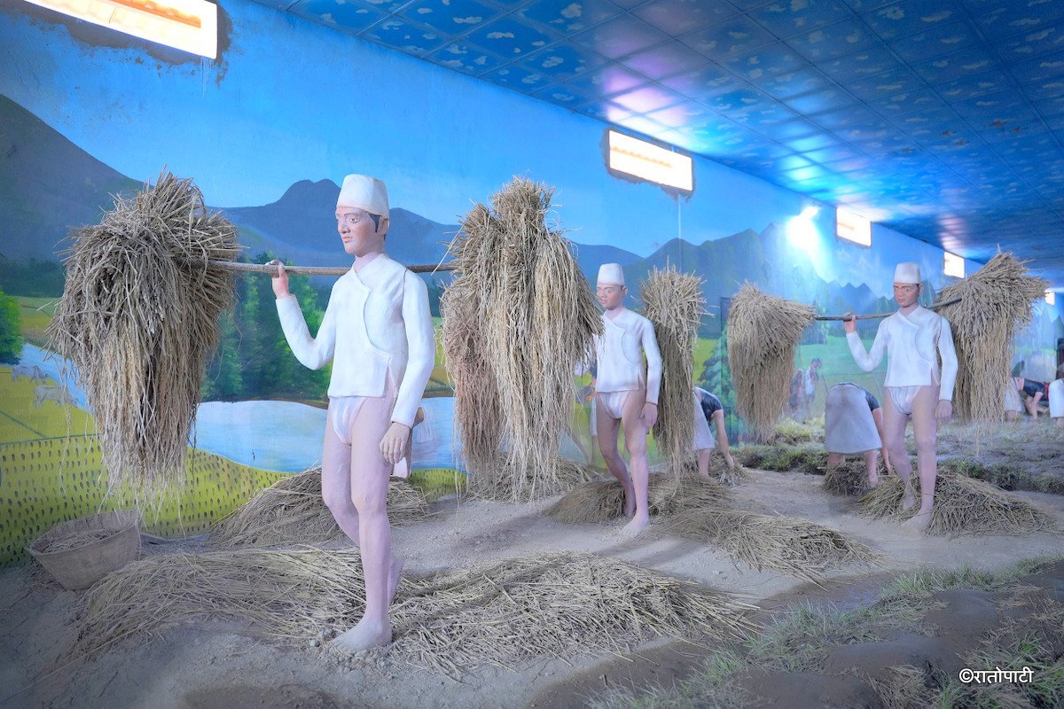 Tharu Musium_Dang_NPL_PCT (15)