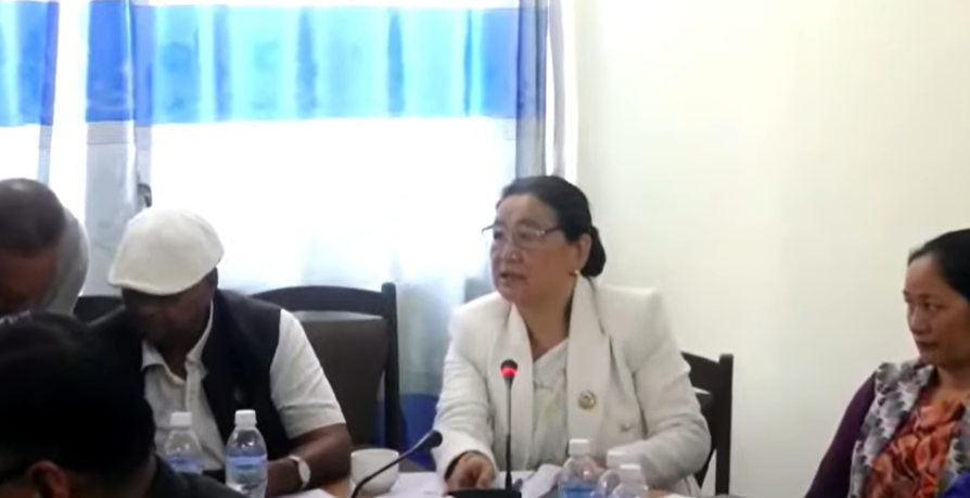 उपसमितिमा बसेर प्रतिवेदन बनाउनेले विरोध गर्न सुहाउँदैन : थेबे