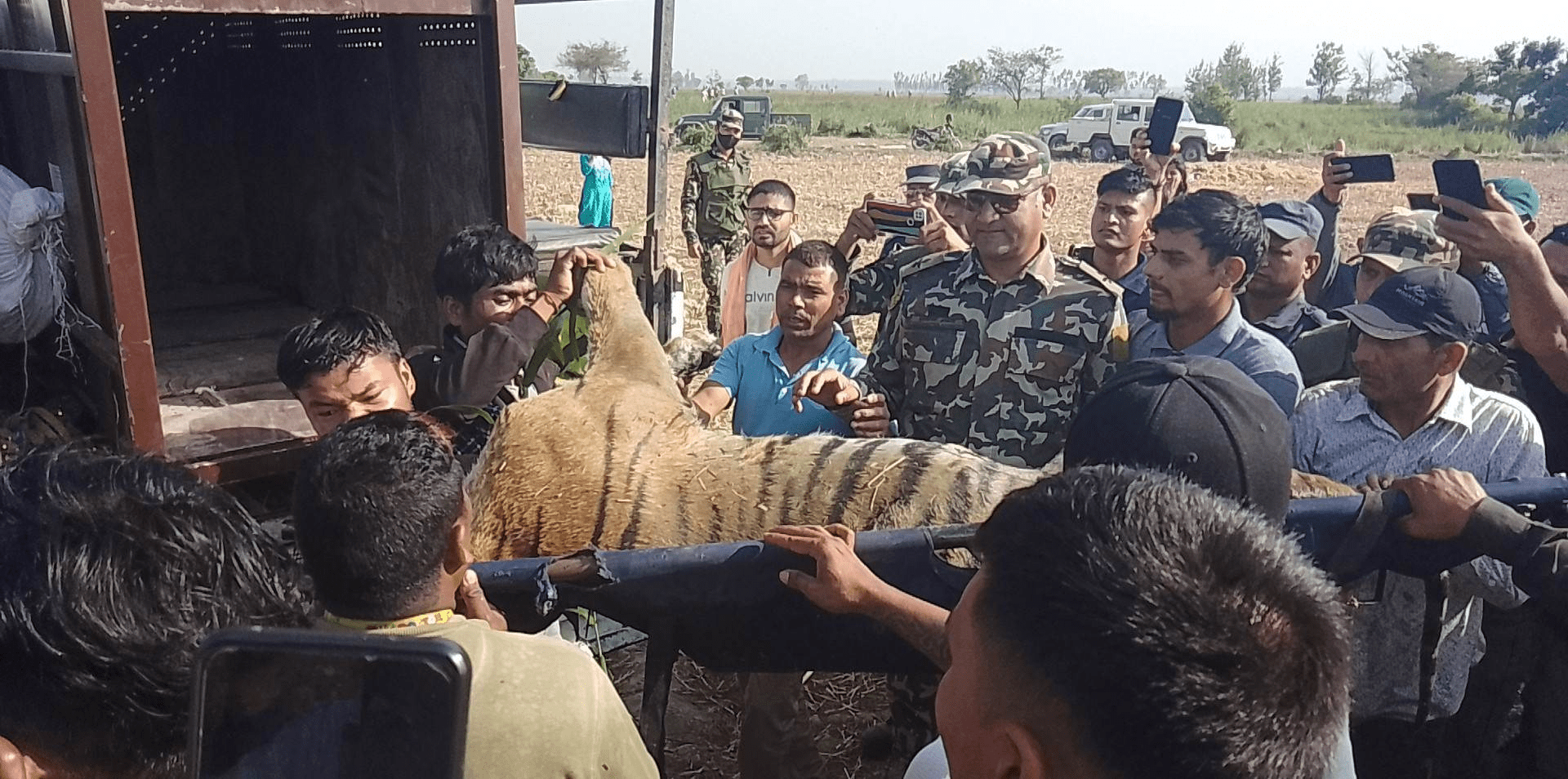   नरभक्षी बाघ नियन्त्रणमा