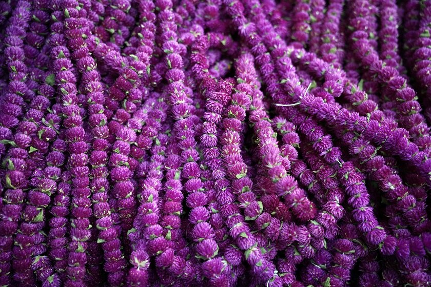 tihar-bhid (4)