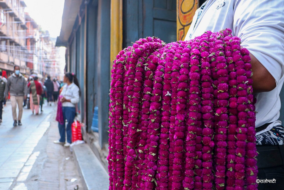 tihar shopping (1)