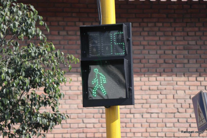 traffic-light (8)