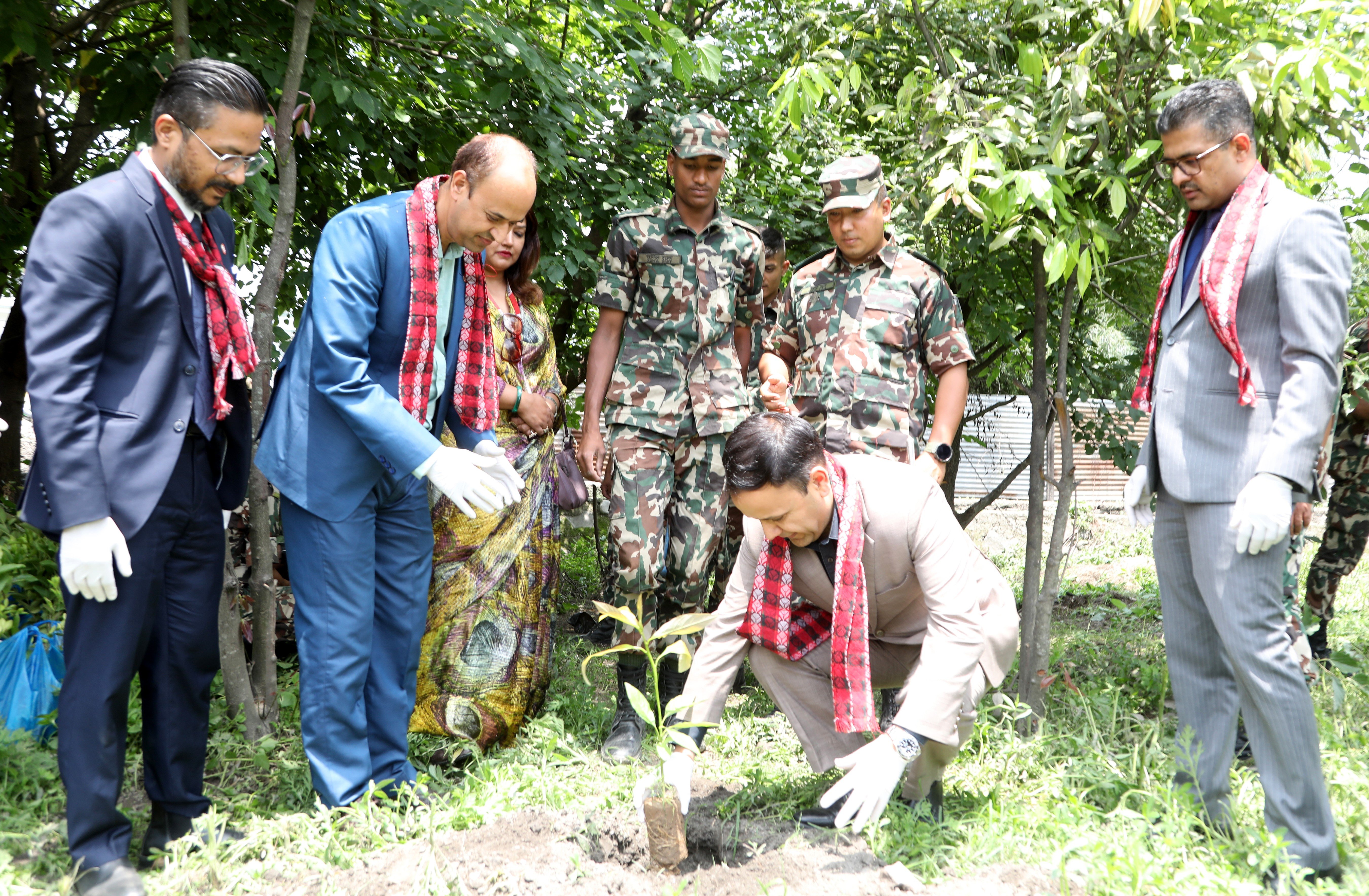 ग्लोबल आइएमई बैंकद्वारा विश्व वातावरण दिवसको अवसरमा देशव्यापीरुपमा वृहत् वृक्षारोपण कार्यक्रम आयोजना