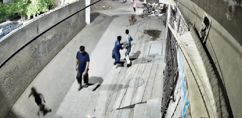   घरपालुवा सिंहले तीन जनालाई आक्रमण गरेपछि मालिक पक्राउ