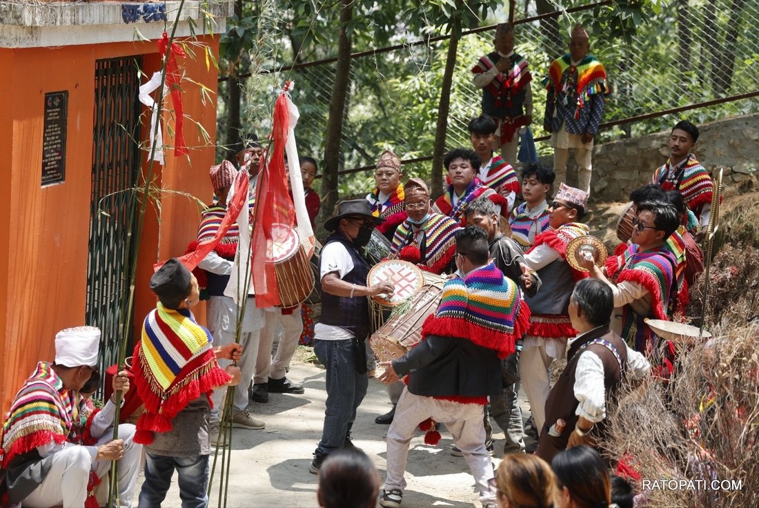 ubhauli (1)