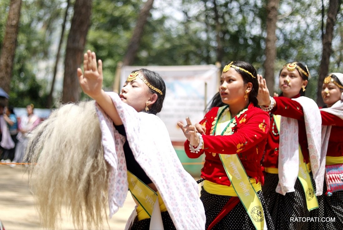 ubhauli (10)