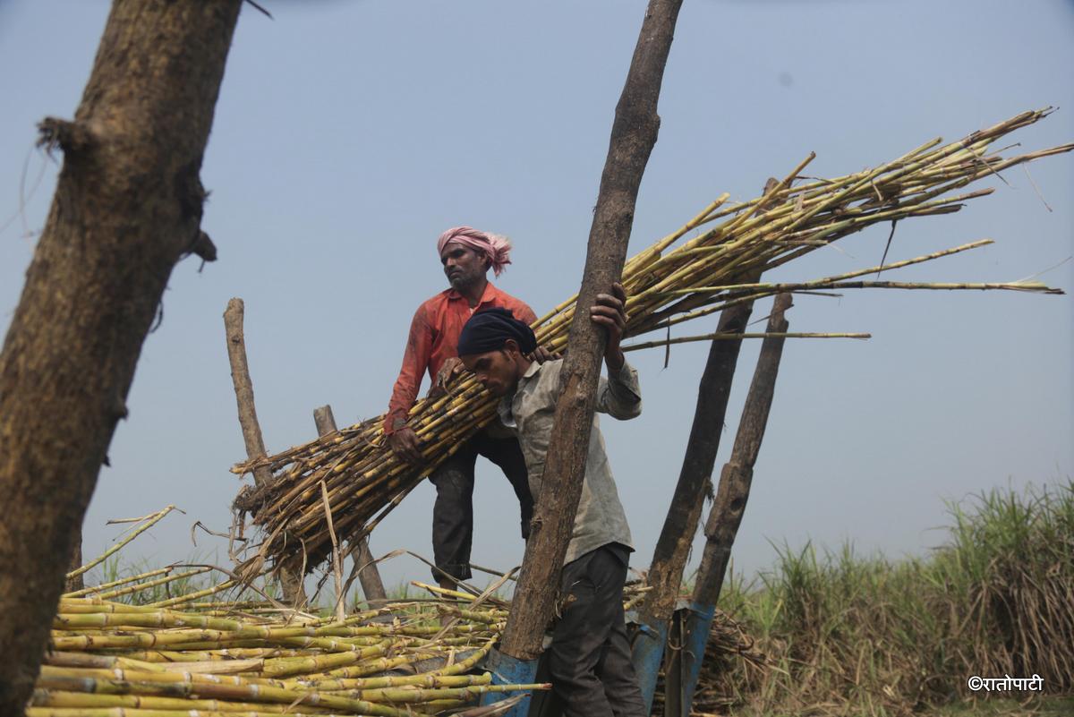 ukhu kisan (10)