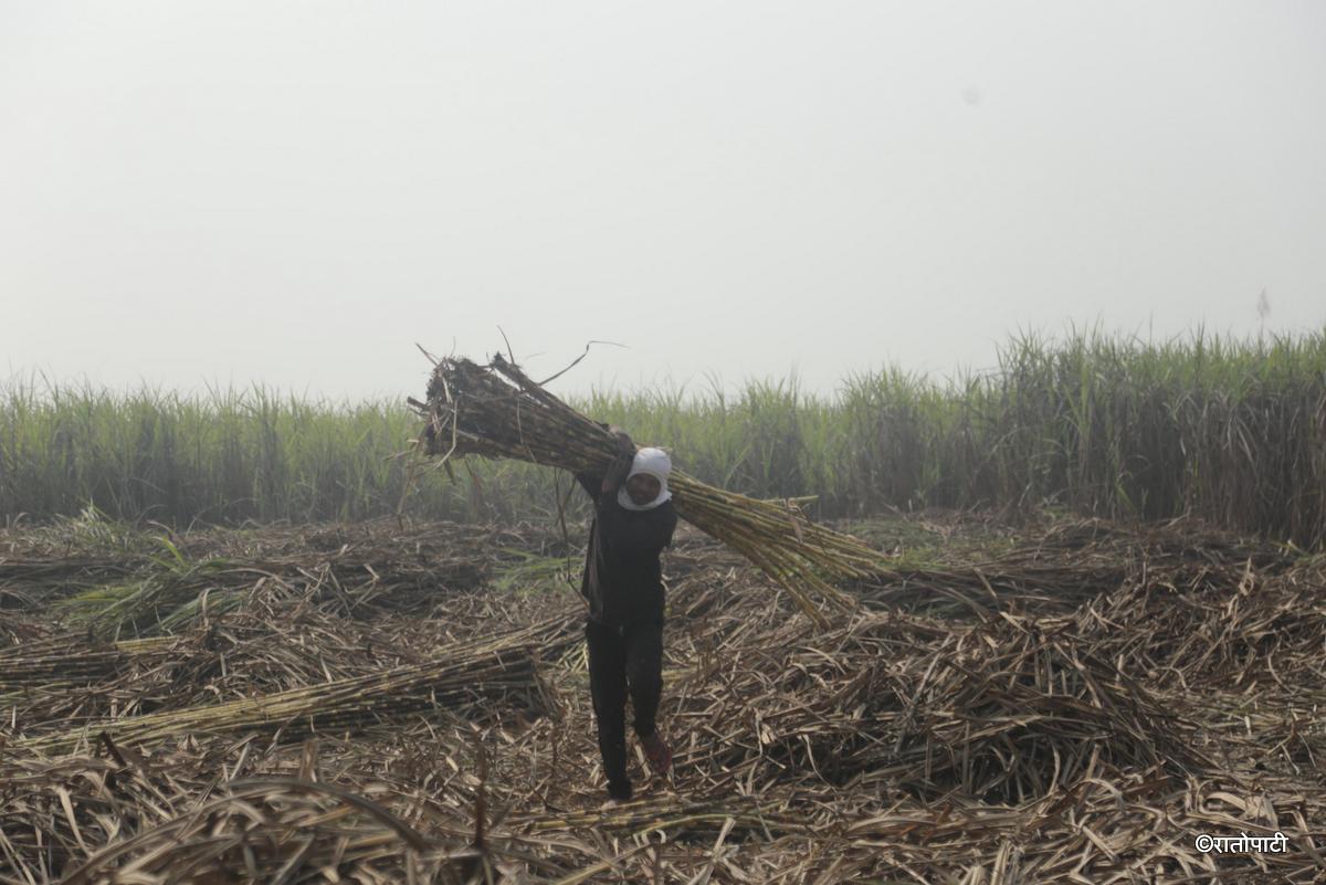 ukhu kisan (11)