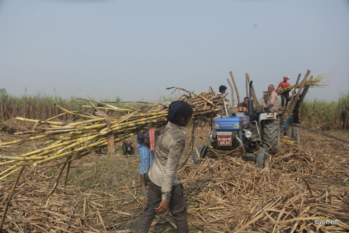 ukhu kisan (13)