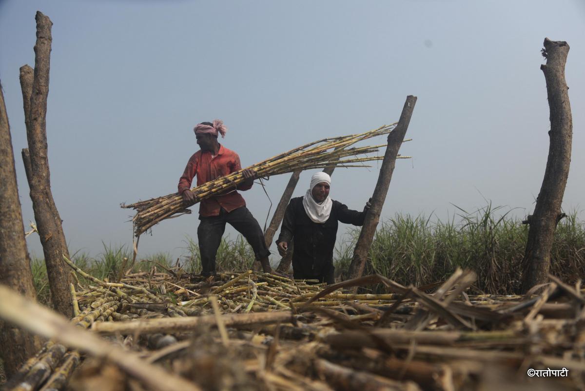 ukhu kisan (15)