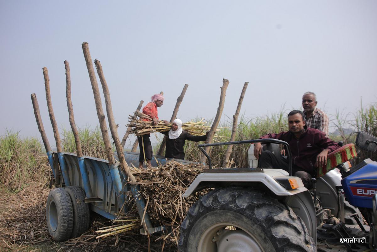 ukhu kisan (2)