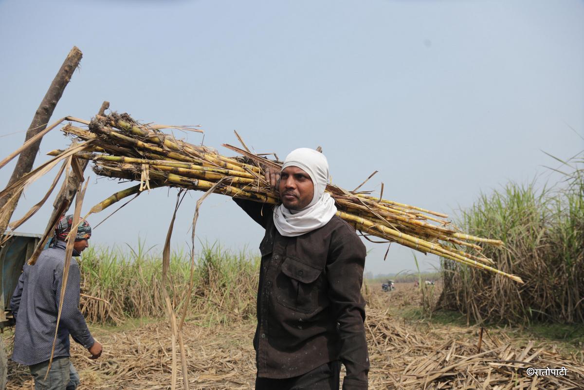 ukhu kisan (4)