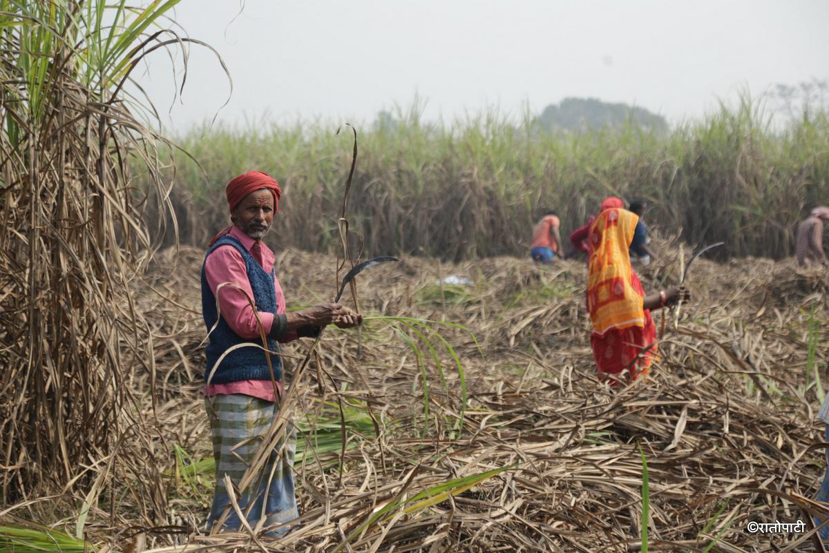 ukhu kisan (5)