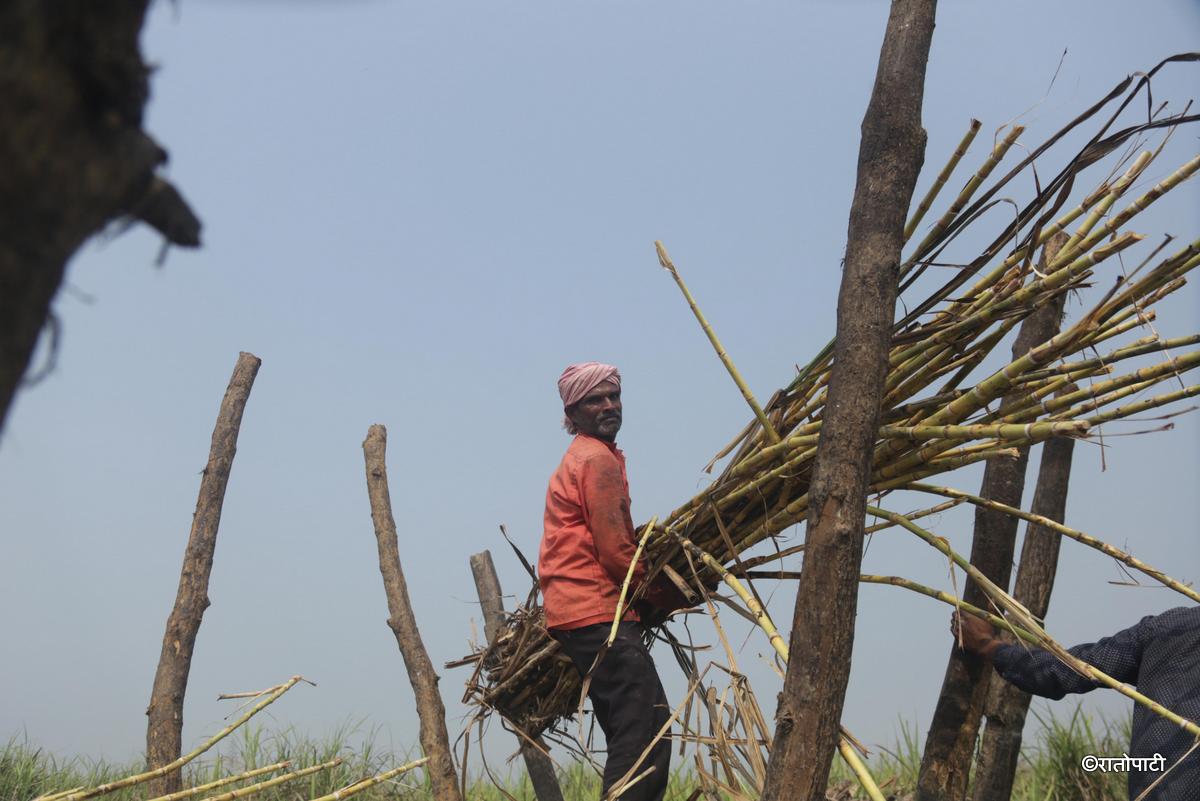 ukhu kisan (9)