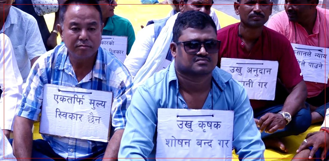 ‘उखु किसानले बर्सेनि आन्दोलन गर्नुपर्ने अवस्था अन्त्य गरियोस्’