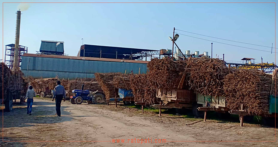 Sugarcane Farmers Await Long-Overdue Payments Amidst Unfulfilled Government Directives