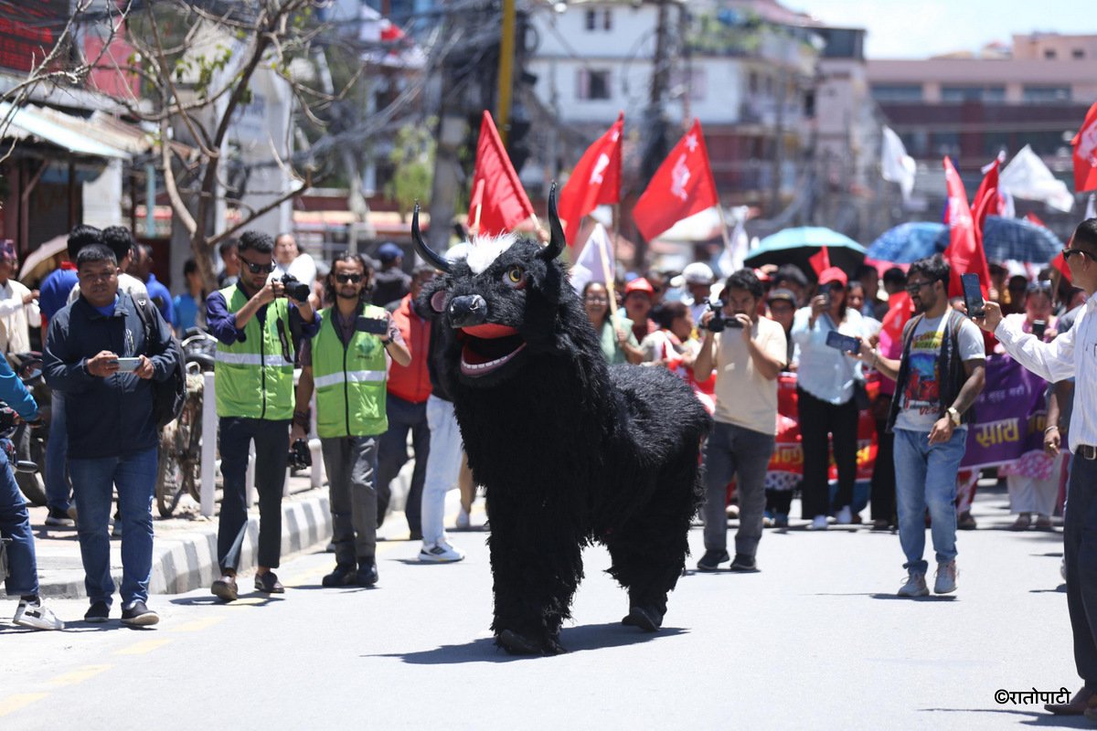 uml ralli (11)