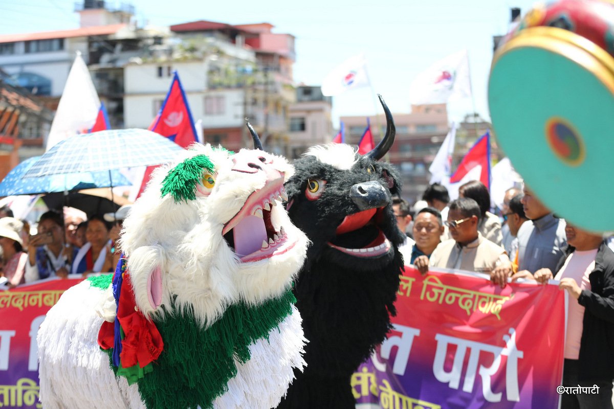 uml rally (5)