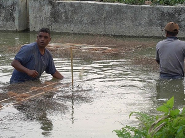 माछाका लाखौँ भूरा निर्यात गर्दै मत्स्य प्रवर्द्धन केन्द्र