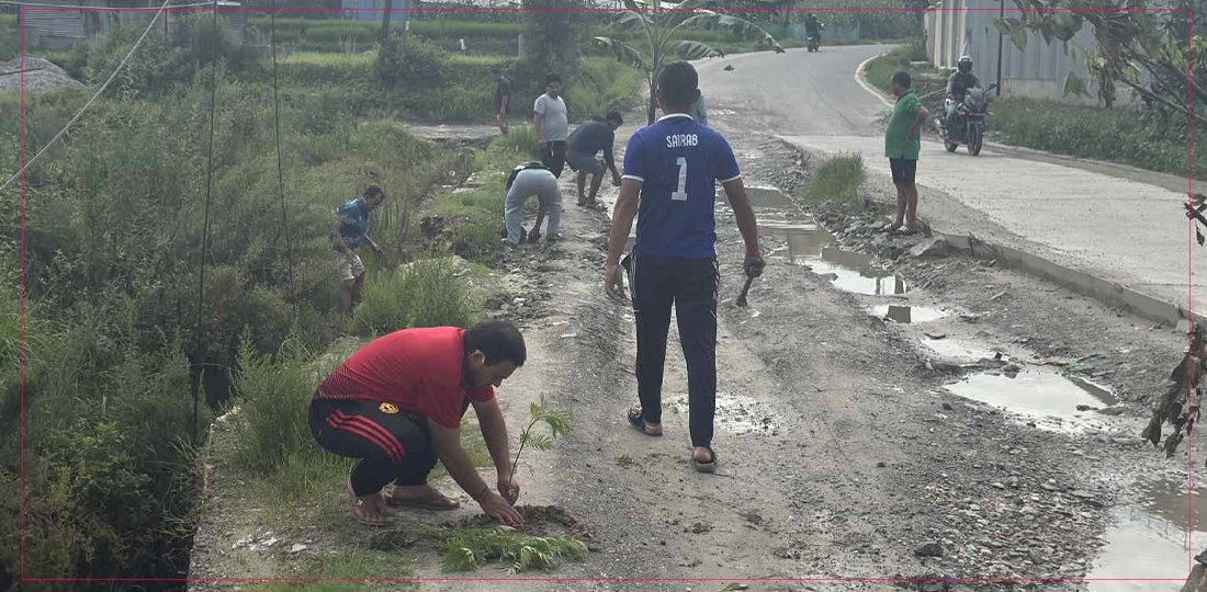   सडकमै केराको बोट रोपेर विरोध