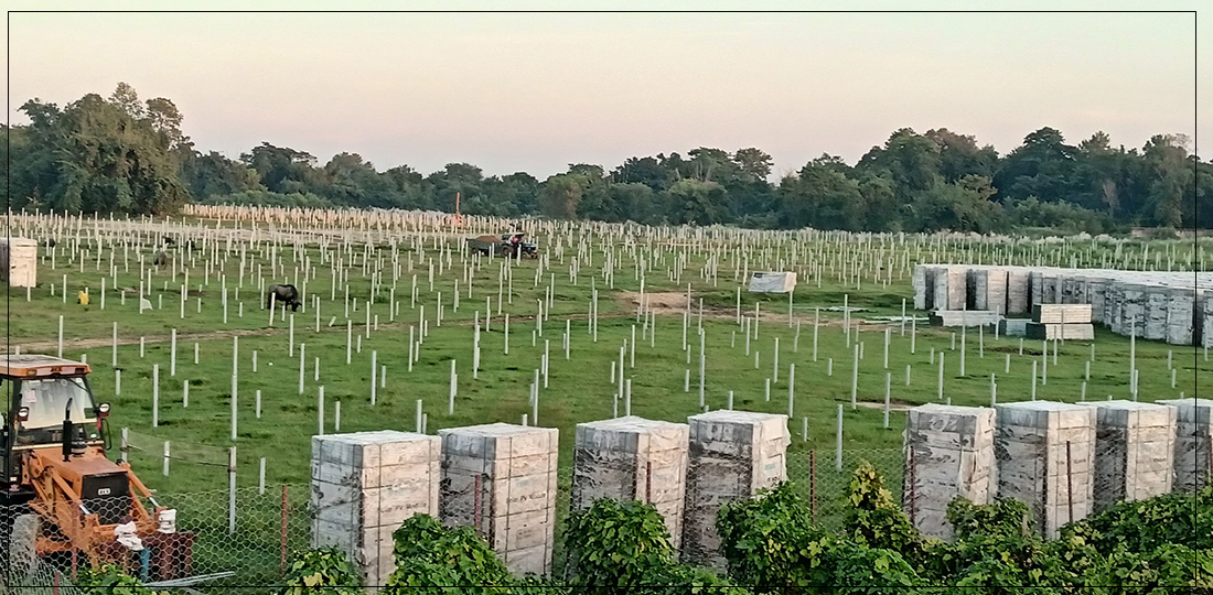   बारामा सौर्य ऊर्जा उत्पादनका लागि धमाधम संरचना निर्माण हुँदै